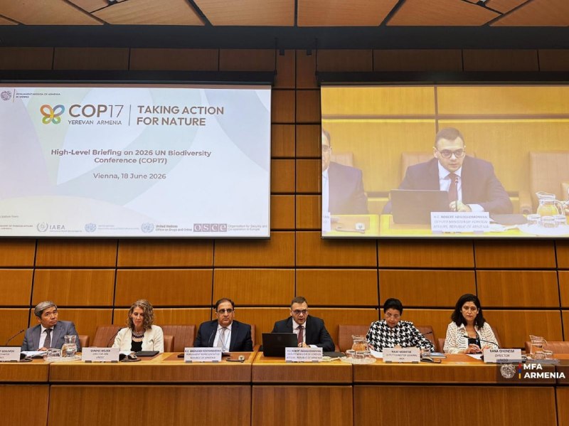Подготовка к COP17 по биоразнообразию в Ереване: брифинг в Вене с участием замминистра Роберта Абисогомоняна