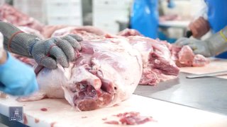 Компания «Атенк» в Эребуни: новый этап развития мясного производства