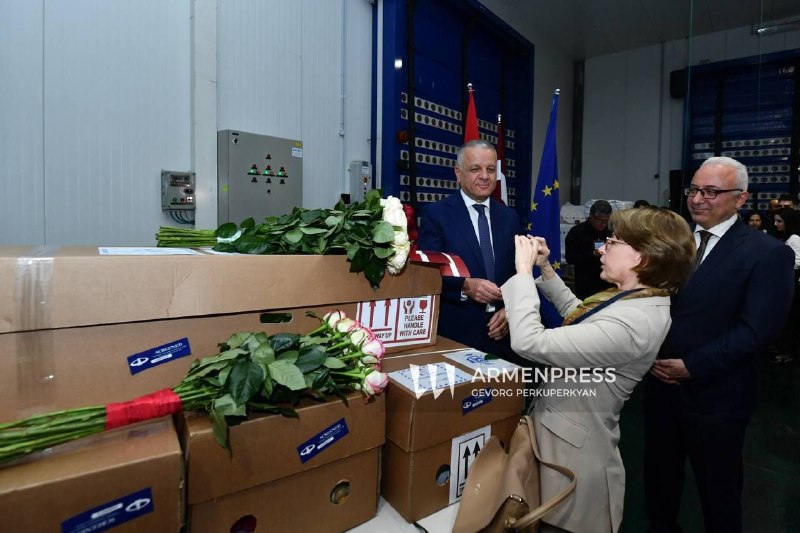 Первая партия роз из Армении отправлена в Латвию: 5500 цветов различных сортов