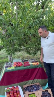 Первая партия армянских фруктов из Эребуни отправлена в ОАЭ компанией Araratyan Farm
