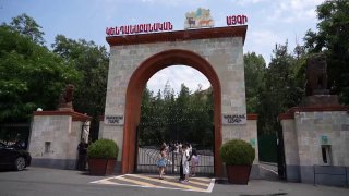 Животные из особняка Гагика Царукяна проходят адаптацию в Ереванском зоопарке: среди них тигры и лев